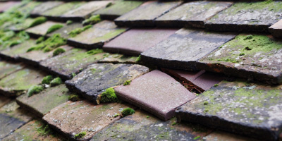 Crank roof repair costs